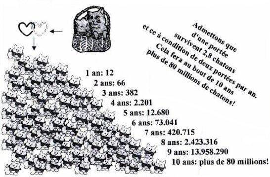 Où acheter médicament vétérinaire sans ordonnance vers Cany-Barville près de Fécamp