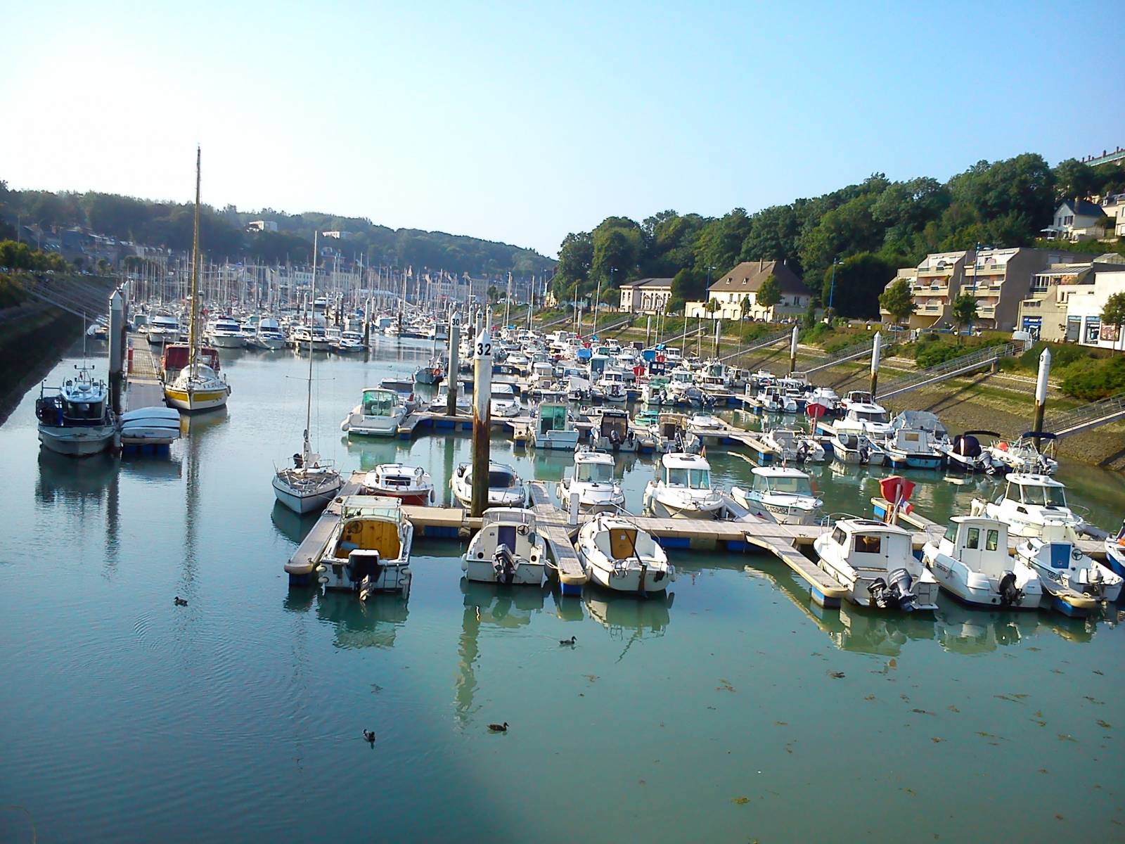 Prix d'une échographie pour chien à vers Cany-Barville près de Fécamp