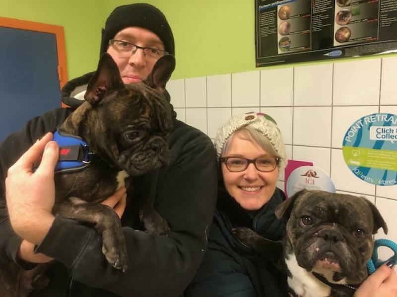 Le syndrome brachycepale