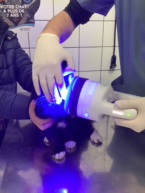 luminothérapie plaie chronique saint valery en caux