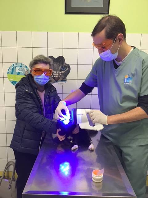 traitement plaie luminotherapie dieppe