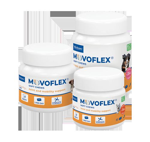 arthorse chien saint valery en caux