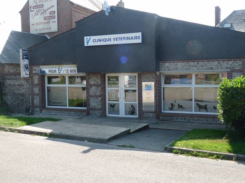 urgences veterinaires chiens chats saint-valey-en-caux  veules-les-roses luneray
