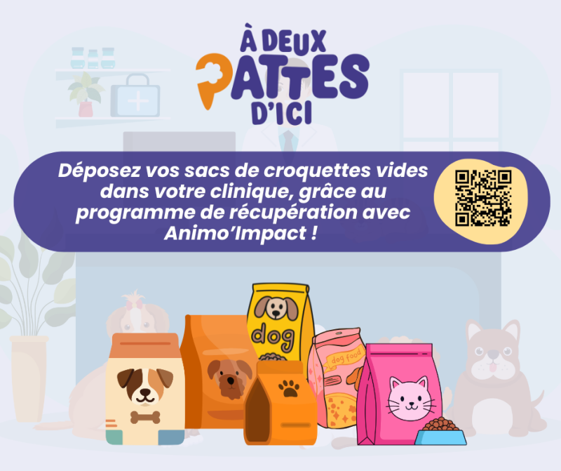 recyclage sacs croquette