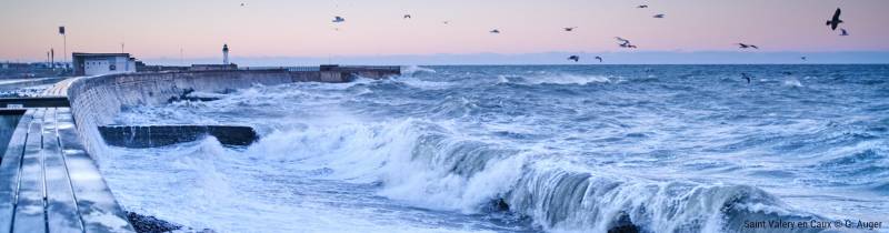 visiter saint valery en caux