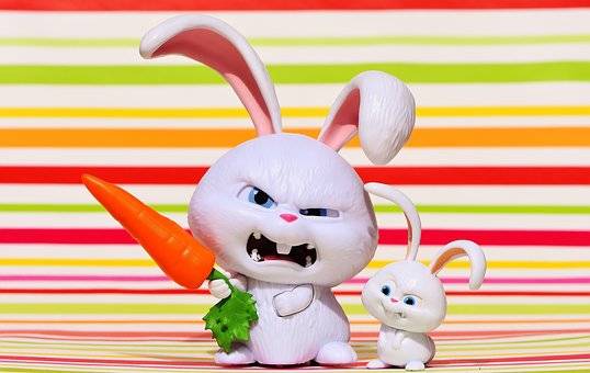 alimentation chiens chats nacs proche saint valery en caux