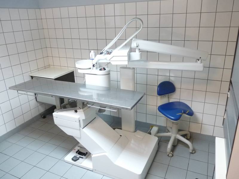 comment soigner les dents chien ou chat proche neville