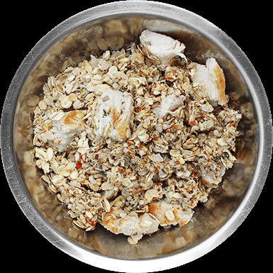 aliment naturel chien saint valery en caux