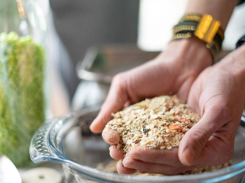 sanalio vet aliment appétent chien