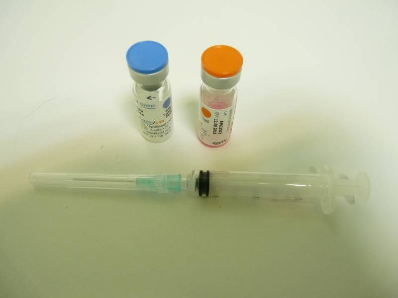 vacciner son chien ou son chat proche doudeville