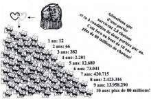 Nos prestations sur le secteur de vers Cany-Barville près de Fécamp