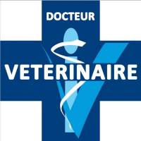 Nos prestations sur le secteur de à Saint-Valery-en-Caux (76460), en Normandie