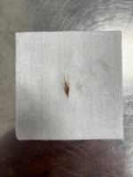 Notre zone d'activité pour ce service Tarif consultation pour chien ou chat à la clinique Vétérinaire de la Côte d’Albâtre à