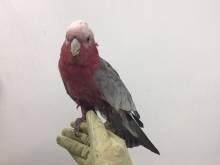 Nos prestations sur le secteur de vers Cany-Barville près de Fécamp