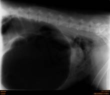 Nos prestations sur le secteur de vers Cany-Barville près de Fécamp