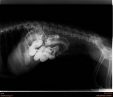 Nos prestations sur le secteur de vers Luneray proche de Dieppe