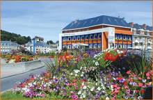 Chien trouvé Saint Valery En Caux