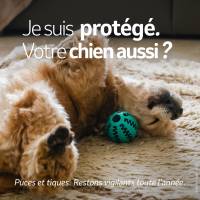 Nos prestations sur le secteur de vers Cany-Barville près de Fécamp